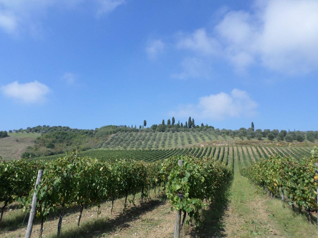 Tenuta Villa Rocchi Torrita di Siena Exterior foto