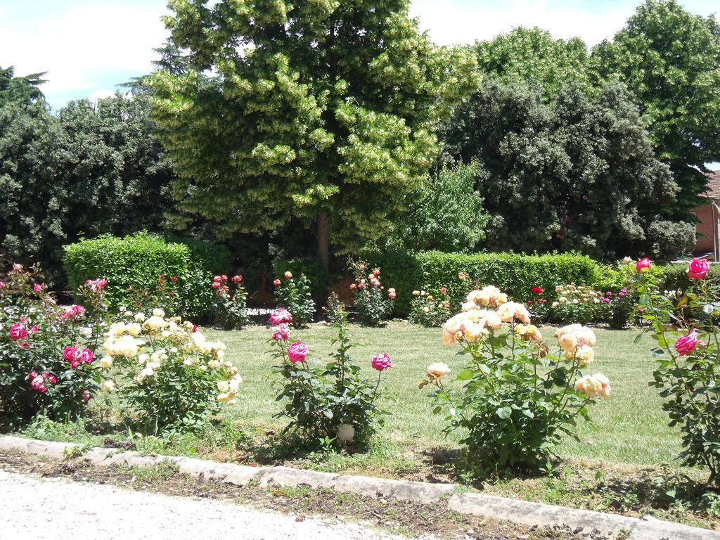 Tenuta Villa Rocchi Torrita di Siena Exterior foto